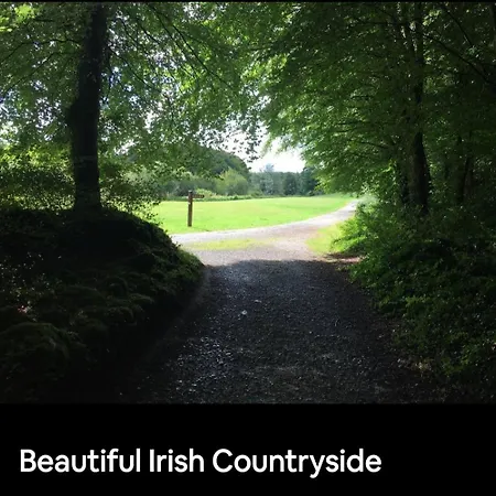 Curraghchase 아파트