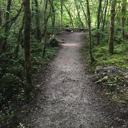 아파트 Curraghchase *